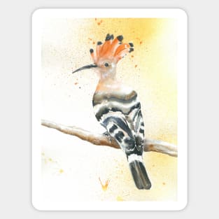 Hoopoe Sticker